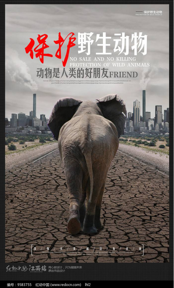 【抗击疫情】计信学院呼吁大家一起保护野生动物!